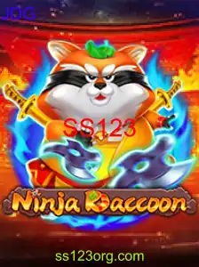 NinjaRaccoon